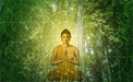 Meditation as Ethical Activity